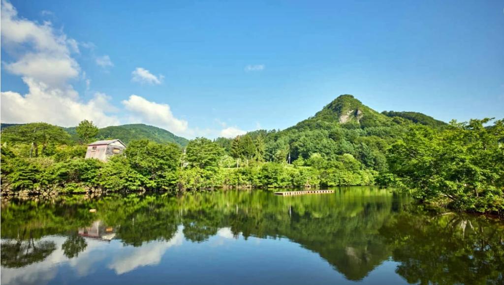 OTONA CITROËNIST CAMPS 【お申込み8/3まで】